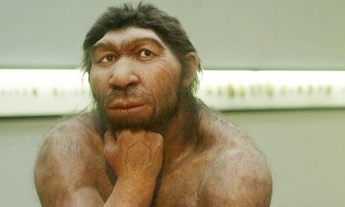 22 Surprising Facts About Early Humans