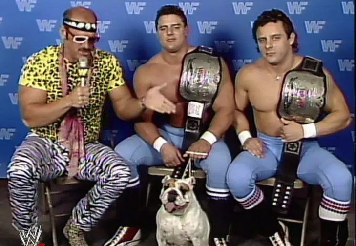 20 Of The Greatest Tag Teams In Wrestling History