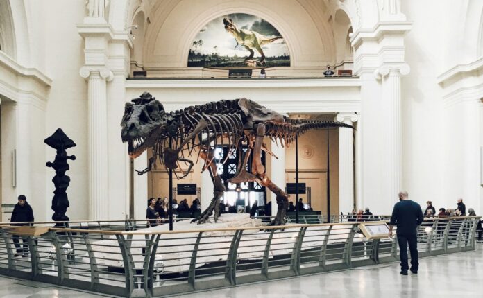 The Field Museum, Chicago, United States